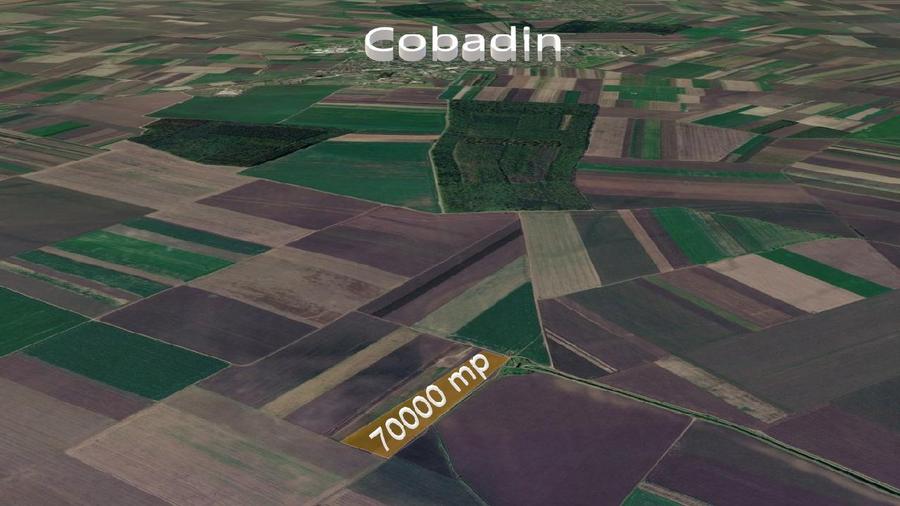 Teren extravilan arabil -70.000 mp- Cobadin, Constanța