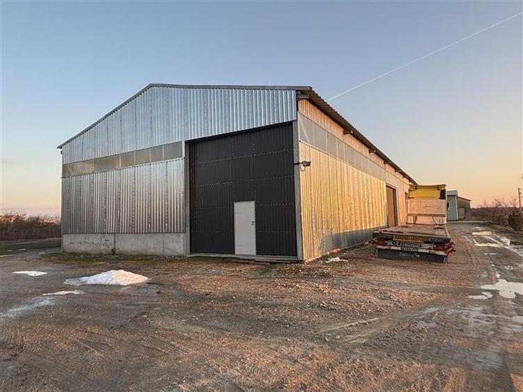 Vanzare depozit/hala/spatiu industrial Bolintin Deal - A1 - KM23