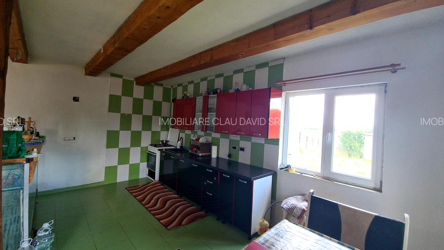 CASA DE VANZARE PODUL OLTULUI CU ACCES PRIVAT - 11
