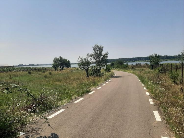 PROPRIETAR Teren stradal ILFOVENI - 7
