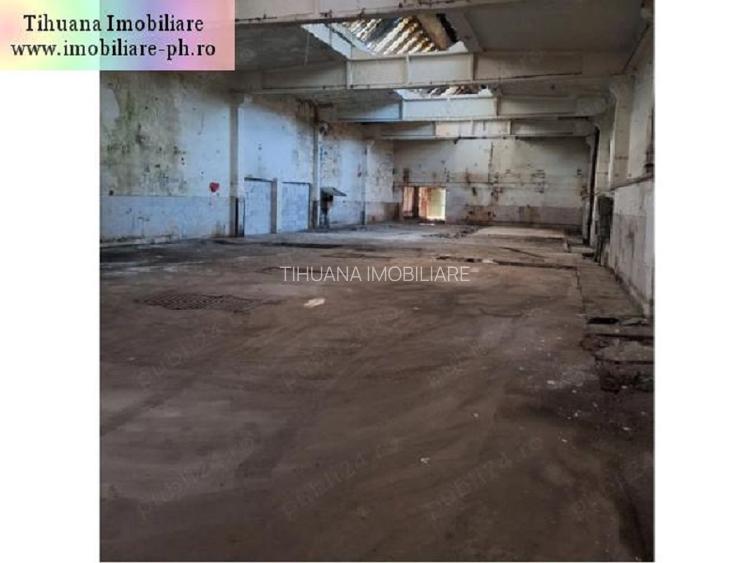 Hala-(industriala,depozit,productie) de vanzare - 4