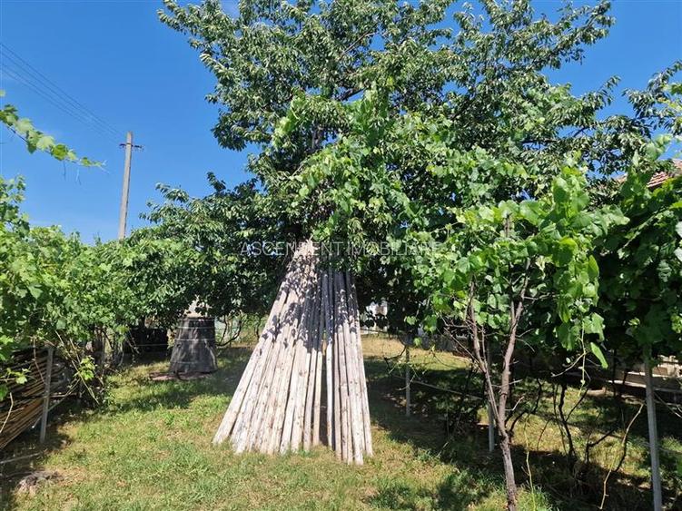Casa traditionala, cu 2.000mp teren roditor, Izvoarele, Prahova - 24