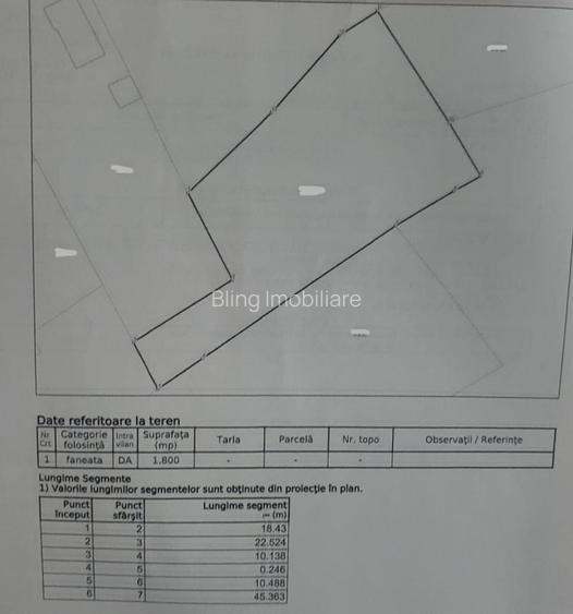 Casa de vanzare Targu Lapus zona centrala cu teren 3800mp si anexe - 2