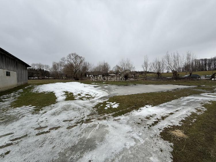 Teren extravilan | Horodnic De Sus | 3600MP - 6