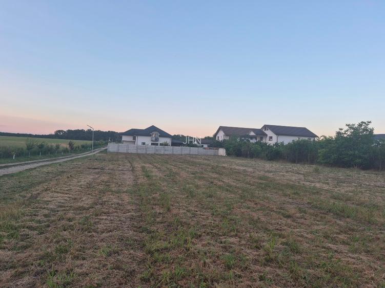 Teren intravilan Ilfov Oferta ,toate utilitatile - 5