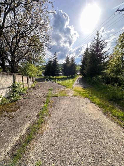 Vand Proprietate Premium 11,5 ha teren si constructii - 8
