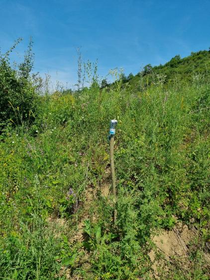 REPREZENATRE EXCLUSIVĂ! Teren intravilan construcții, zonă superbă, Livezeni.