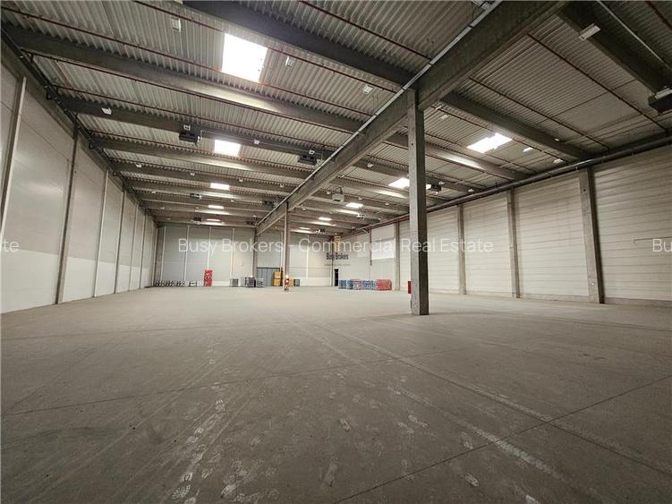 Spatiu Industrial - 4200 mp - Logistica - Productie - Depozitare - Distributie - 3