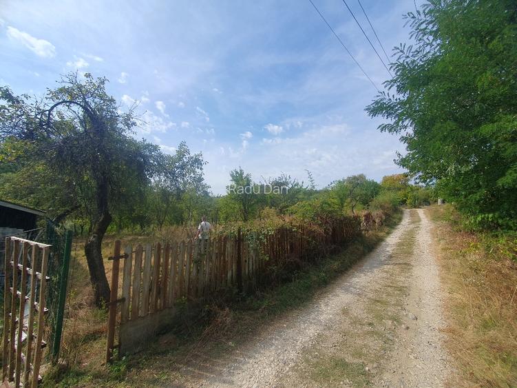 Teren intravilan  4.512 m  – Nucșoara  Argeș, 2 căi de acces, toate utilitățile. - 8