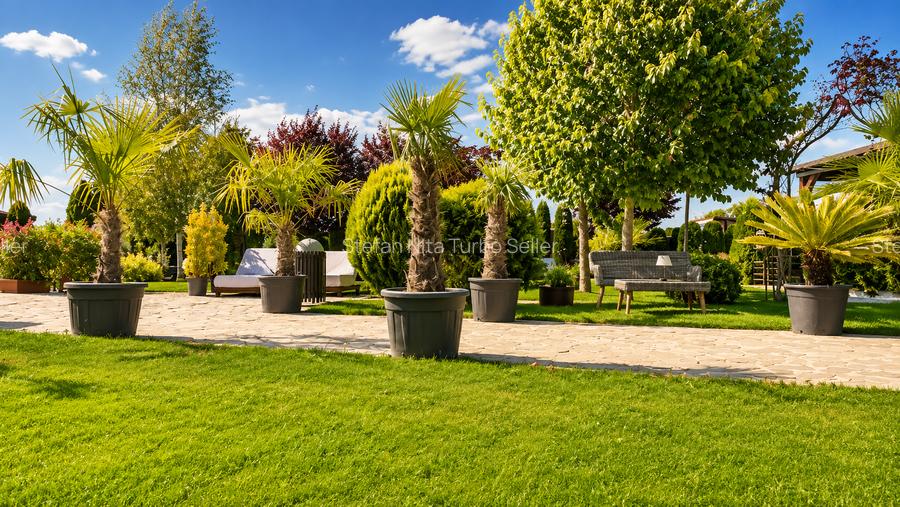 Afacere la cheie Brasov-Cazare, evenimente, wellness si agrement - 6