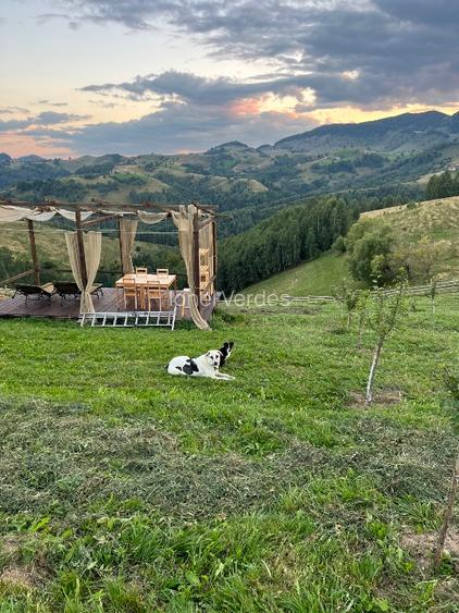 Teren 110.000 mp. in satul Pestera, comuna Moieciu - 10