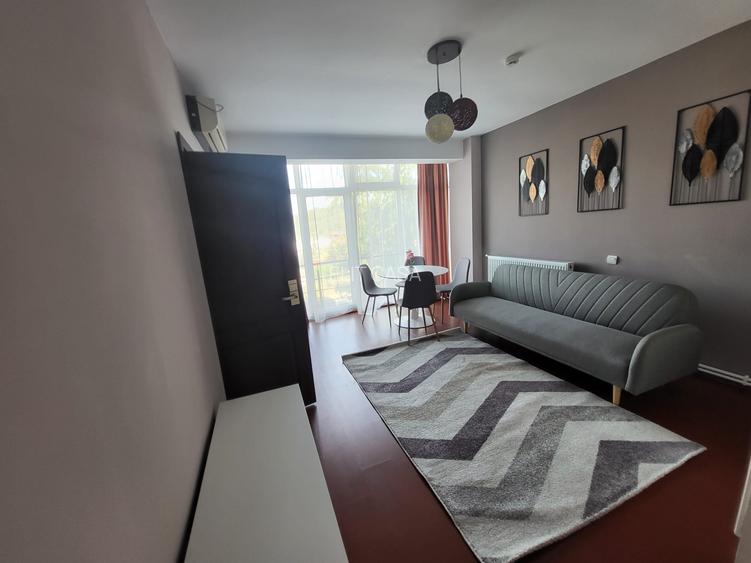 Apartament cu 2 camere, PET FRIENDLY, LOC PARCARE, zona Bucium - HOTEL PLEIADA - 3