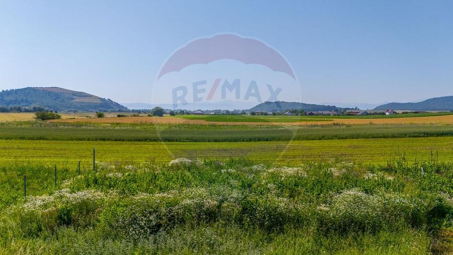 Teren intravilan cu CU-BOD- ZONA CISMASU- 1,020mp / Strada Iasomiei