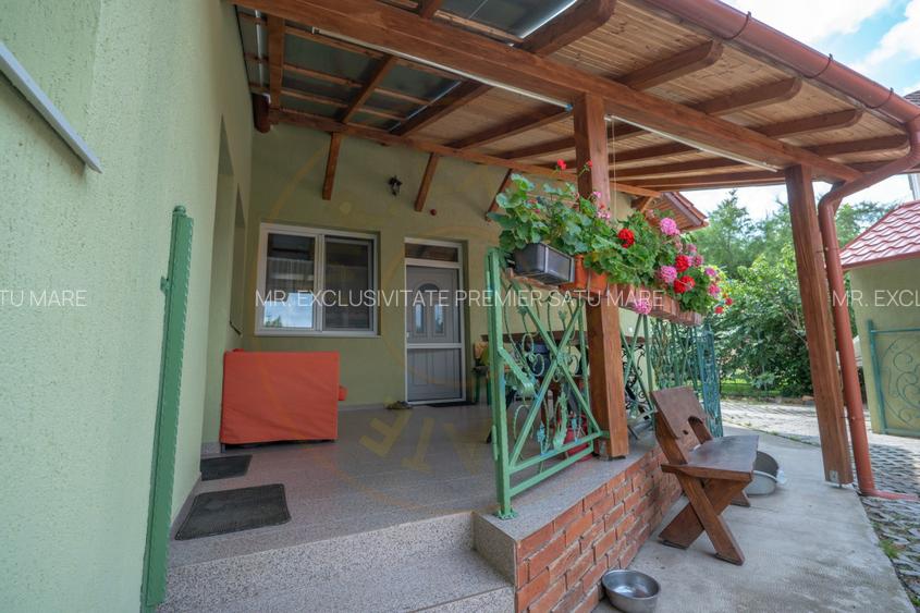 De Vânzare Casă Vânătorilor 9 ari teren - 3