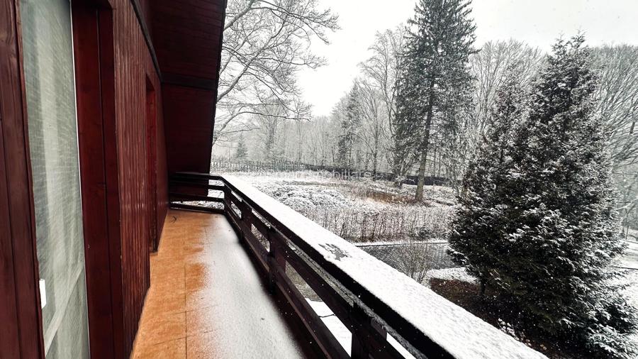 Casa de vacanta cu teren 2000mp Valea Avrigului - 31