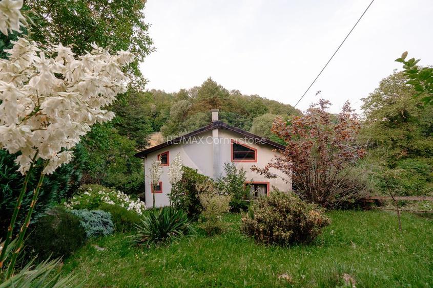 Casă de vânzare cu teren 2.340 mp și pârâu propriu — Bălilești, Argeș - 23