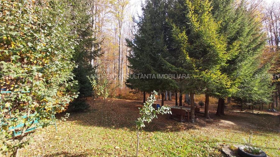 Vanzare casa la munte langa padure in Cheia judetul Prahova - 4