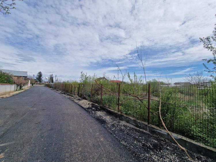 2 Loturi Teren Intravilan 1500 MP Tartasesti Deschidere 30 M / 36 M Utilitati
