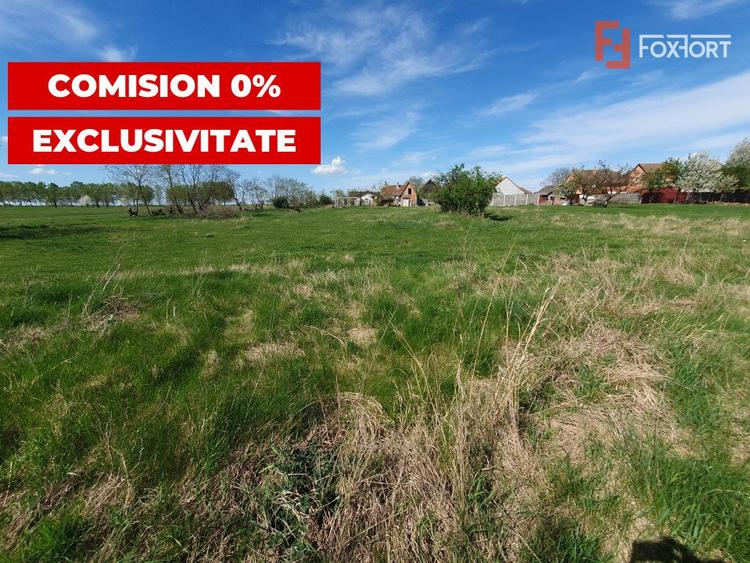 Comision 0% Teren intravilan 3000 mp in Padureni Jebel