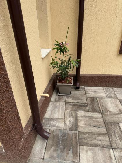 Casa Zona Medeea
