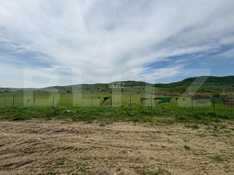 Hala, 230mp , zona Sud - 2