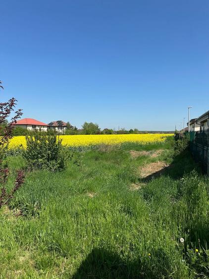 Teren intravilan 26.300 mp Saftica Balotesti - PUZ în lucru