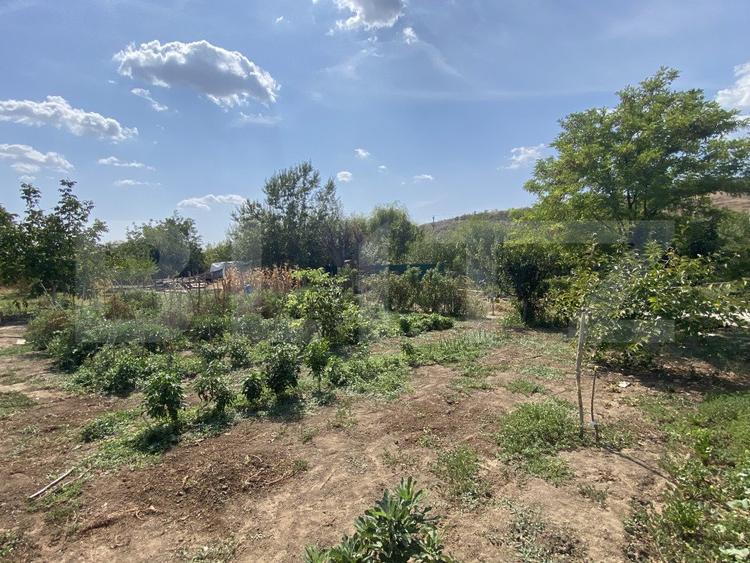 Teren 800 mp, fundatie 125 mp, 20 m deschidere, toate utilitatile, Livezi