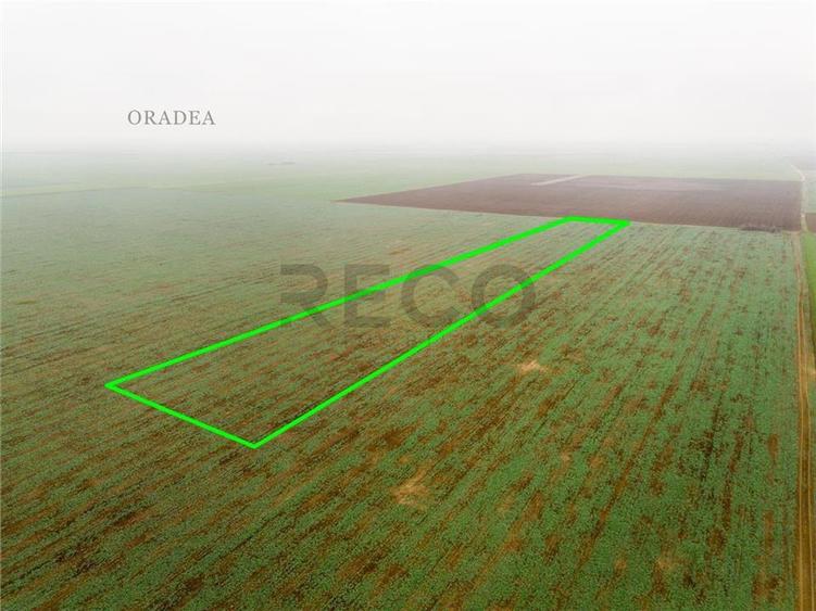 RECO Teren extravilan 5800 mp Livada de Bihor