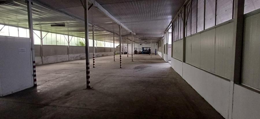 FOSTĂ FABRICĂ DE ÎMBUTELIERE APĂ – BĂLȚEȘTI, PRAHOVA | TEREN + PLATF INDUSTRIALA