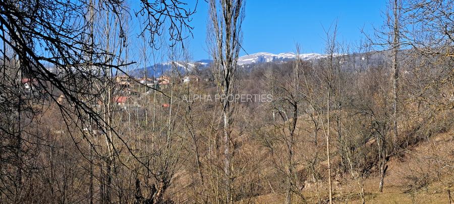 TEREN INTRAVILAN, 2142 mp, COMARNIC PRAHOVA, PODUL LUNG - 17