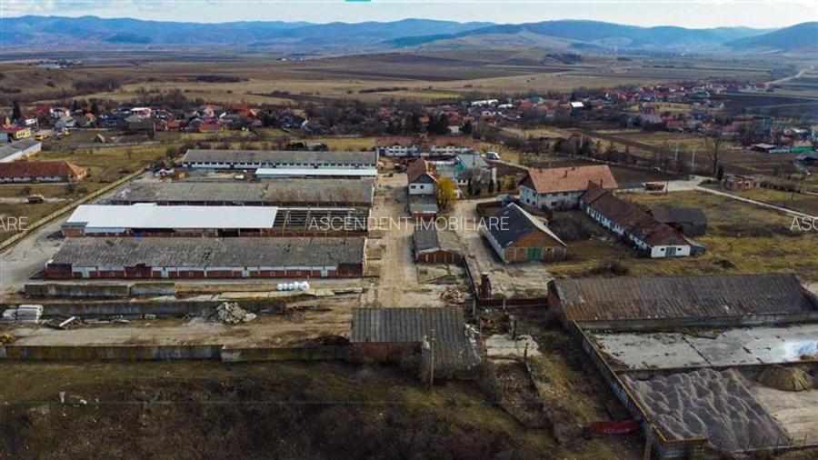 Ansamblu agrozootehnic cu renume,dotat +valoare exceptionala+potential versatil, - 39