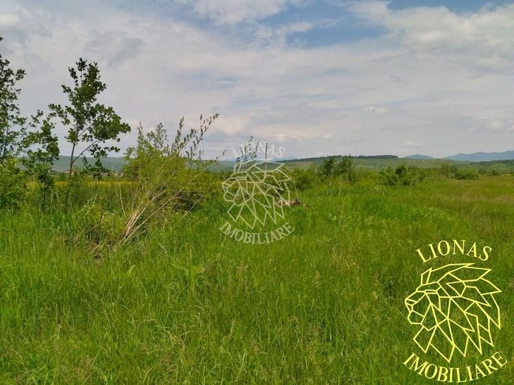 Teren 13100 mp-parcelabil-ideal cabana/agricultura-Orheiul Bistritei