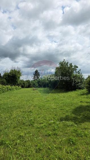 Domeniu rural, gospodarie/multifunctionala cu casa, livada, vie - 36