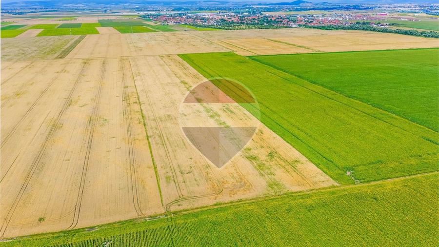 Comision 0% | Teren extravilan agricol 20.000 mp | Cristian, Brașov