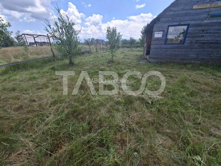 Teren extravilan in zona Aerodrom Magura din Cisnadie - Cabana - 10