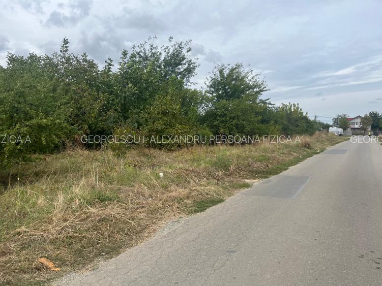Teren 1000m Jilava  Str.Garii,Asfaltat ,Utilitati - 3