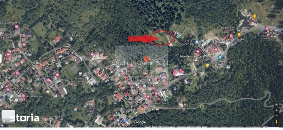 Proprietar vand 7059 mp in Predeal- str. Schiorilor/Cioplea