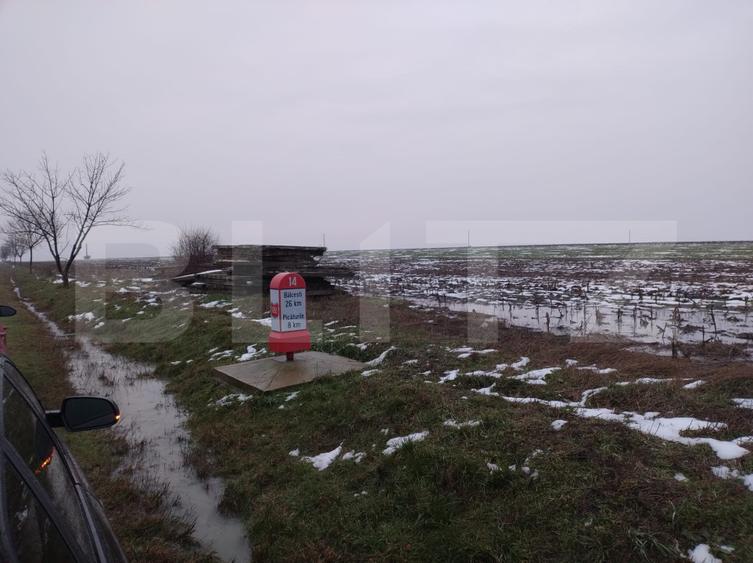 Teren intravilan Mischii DN 65C, 17000 mp, toate utilitățile