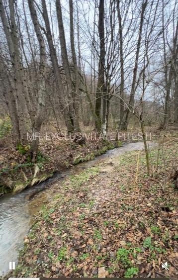 Teren intravilan 6.500 m²–Deschidere 144 ml drum european E81, km 35, Morăresti - 3