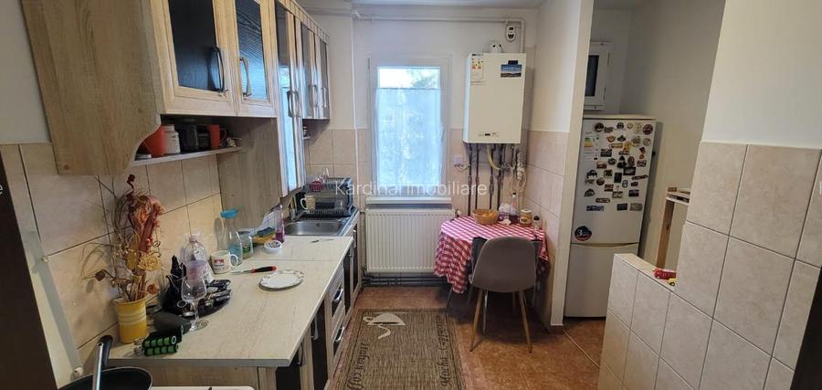 Inchiriere apartament  2 camere 50 mp utili, Gemenii - 10