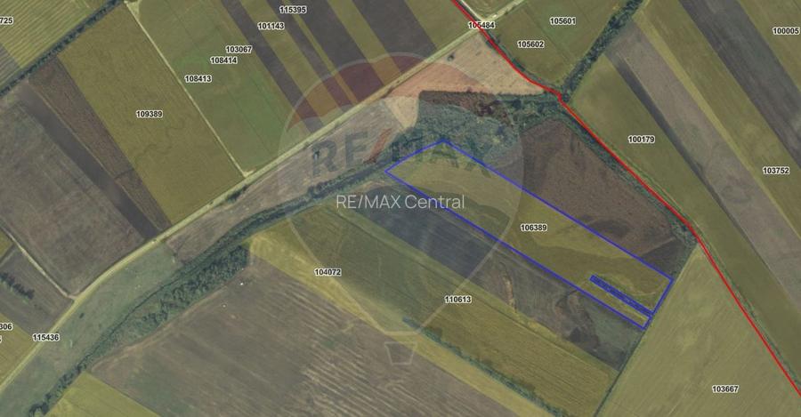 Teren 4 ha pretabil pentru irigații Codlea / DJ 112A - 5