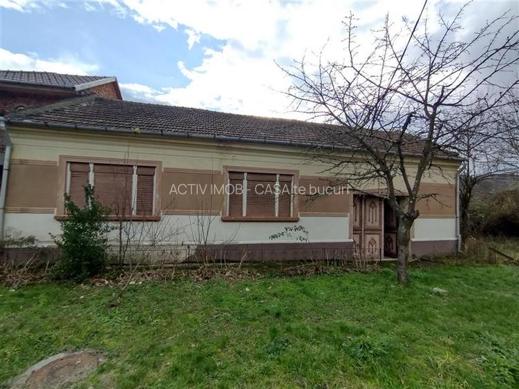 Bogodint, Casa cu 4 Hectare Teren, Pret Negociabil - 36
