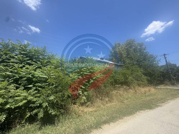 Teren/ casa demolabila Dutulesti