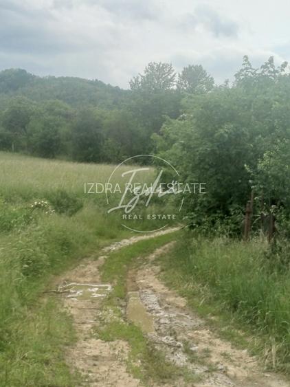 Teren de vanzare in Talmacel - 10