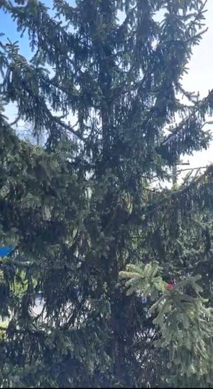 Proprietate ultracentrală cu spațiu comercial și parcare proprie
