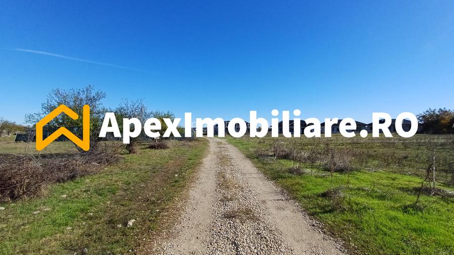 Corbeanca - Tamasi | Teren 1225mp, deschidere 44ml | Utilitati la 50m - 4