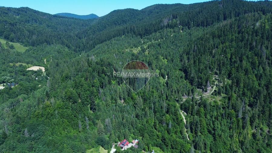 Teren 120.000 mp Sucevița – oportunitate de investiție în turism - 12