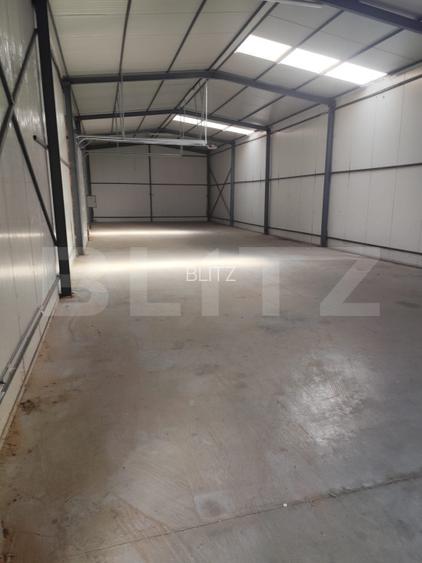 Spatiu comercial de închiriat/hala, 400 mp, zona Vetis - 3