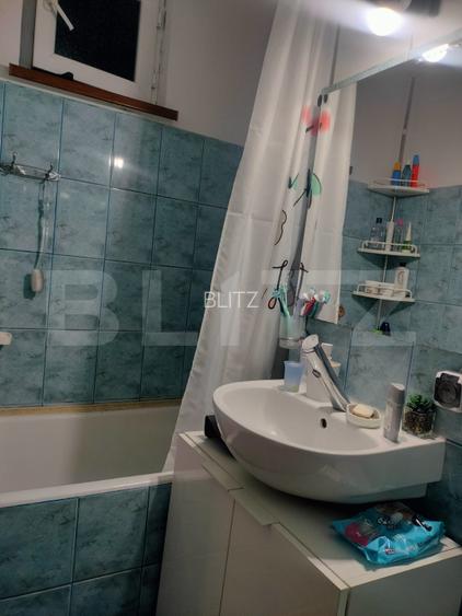Apartament de vanzare, cu 2 camere, spațios și complet renovat, zona Bălcescu - 7