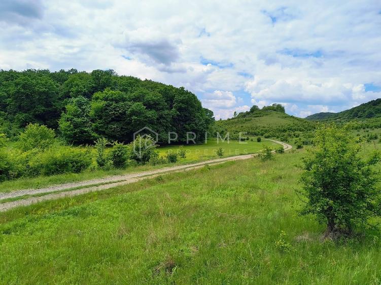 Oportunitate de investiție – 4 parcele în Corunca, 20 €/mp